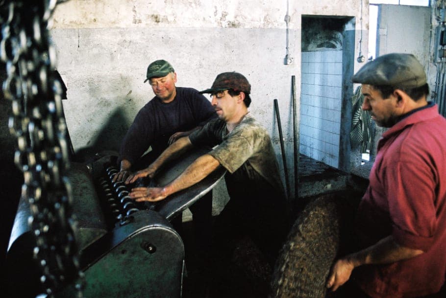 Três homens na máquina que limpa os capachos
